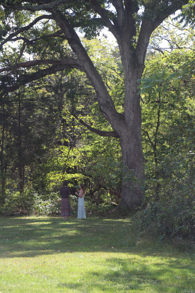 Wedding Erika and Stephan